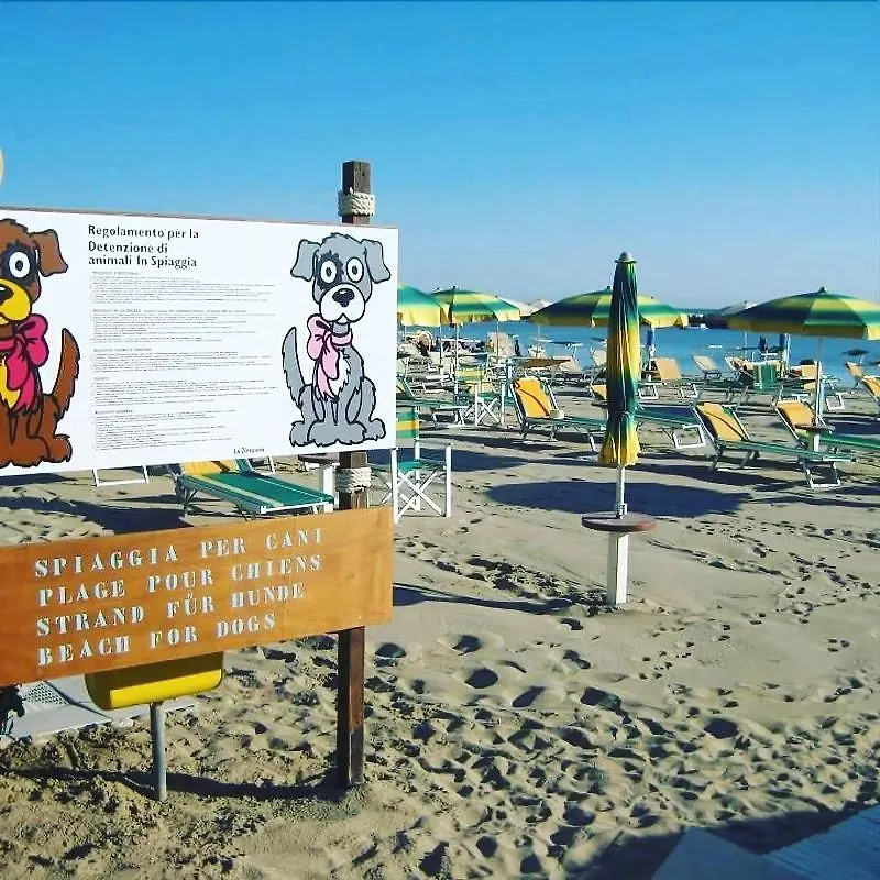Hotel Alsen Rimini 3*,  Italy